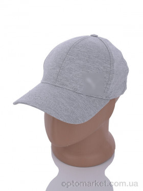 Купить Кепка чоловічі NN1-1 grey P.ma сірий