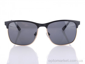 Купить Окуляри P3953 C1 Egebar