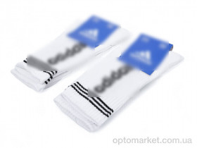Купить Шкарпетки жіночі T144 white A.idas білий