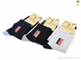 Купить Шкарпетки дитячі T151 mix Житомир мікс