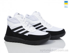 Купить Черевики жіночі ЖБ8 біло-чорний K&G білий