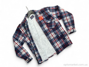 Сорочка чоловічі 101-8 navy Canary синій  оптом от Optomarket