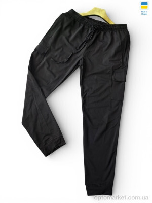 Спортивні штаны чоловічі 10145 чорний Sport style чорний  оптом от Optomarket