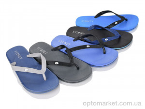 В'єтнамки чоловічі 1687-M1 mix (12) Sydney мікс  оптом от Optomarket