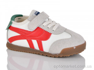 Кросівки дитячі 692-6 ASHIGULI сірий  оптом от Optomarket