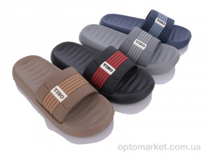 Шльопанці чоловічі 9921-2 mix Lion мікс  оптом от Optomarket