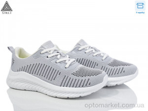 Кросівки жіночі CX1100-5 піна Stilli сірий  оптом от Optomarket