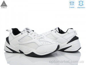 Кросівки жіночі CX1240-3 шкіра піна Stilli білий  оптом от Optomarket