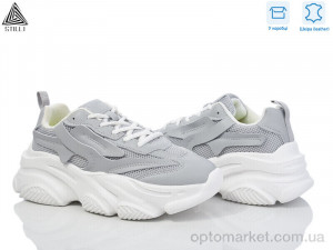 Кросівки жіночі CX720-5 шкіра піна Stilli сірий  оптом от Optomarket