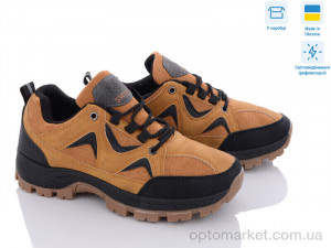 Кросівки чоловічі FYB10011-4 SWIN SHOES camel  оптом от Optomarket