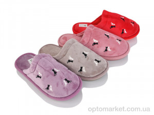Капці жіночі H60 mix Deshman мікс  оптом от Optomarket