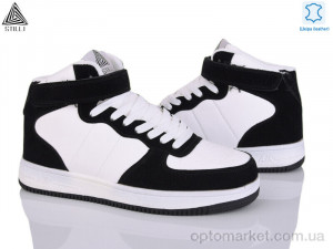 Кросівки чоловічі HB460-8-1 шкіра піна Stilli білий  оптом от Optomarket