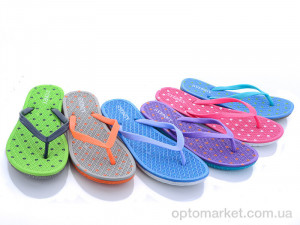 Шльопанці жіночі LP13032 mix Sydney мікс  оптом от Optomarket