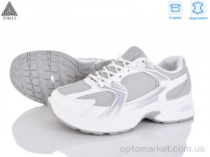 Кросівки жіночі N320-8 шкіра піна Stilli сірий  оптом от Optomarket