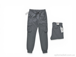 Брюки чоловічі P9203-2 Plus Press сірий  оптом от Optomarket