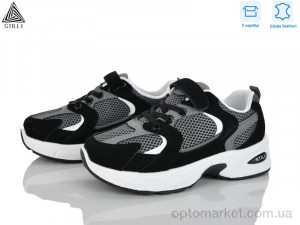 Кросівки дитячі TQ40-6 шкіра Stilli сірий  оптом от Optomarket