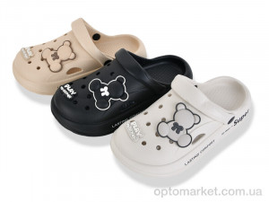 Крокси жіночі Y9910-1 mix (24) Lion-Lu мікс оптом от Optomarket