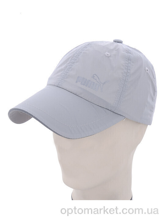 Купить Кепка чоловічі FC012-2 grey P.ma сірий, фото 2