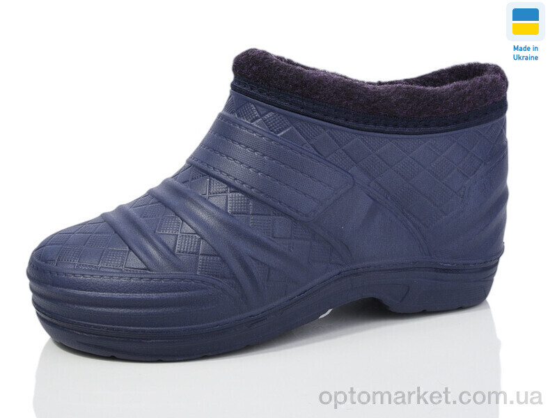 Купить Галоші жіночі ГП21 баклажан DS фіолетовий, фото 1