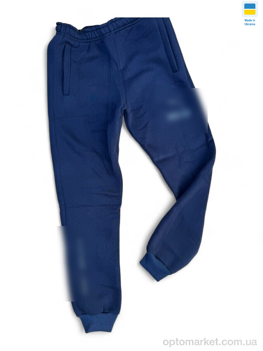 Купить Спортивні штаны чоловічі K2 т.синій P.ma синій, фото 1