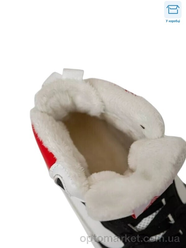 Купить Кросівки жіночі M50-3 Stilli білий, фото 2