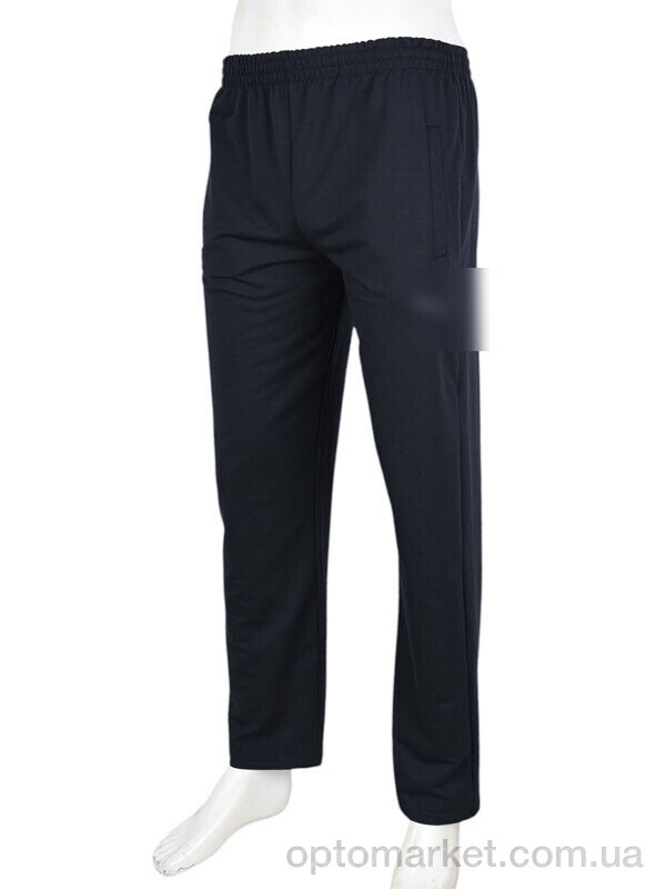 Купить Спортивні штаны чоловічі N007-2 navy P.ma синій, фото 1
