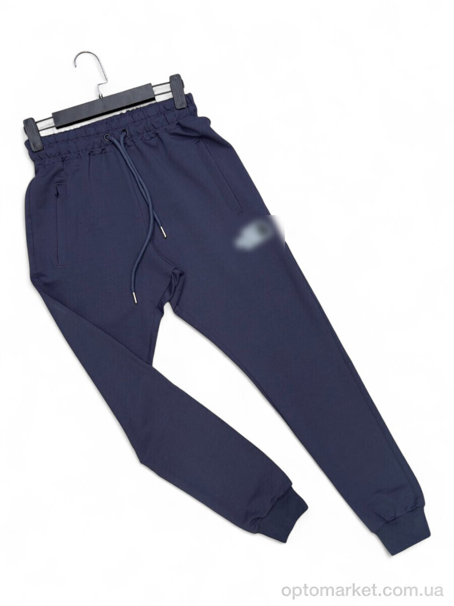 Купить Спортивні штаны чоловічі N012-16 navy T.e north face синій, фото 1