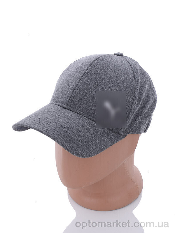 Купить Кепка чоловічі NB06-1 grey P.ma сірий, фото 1