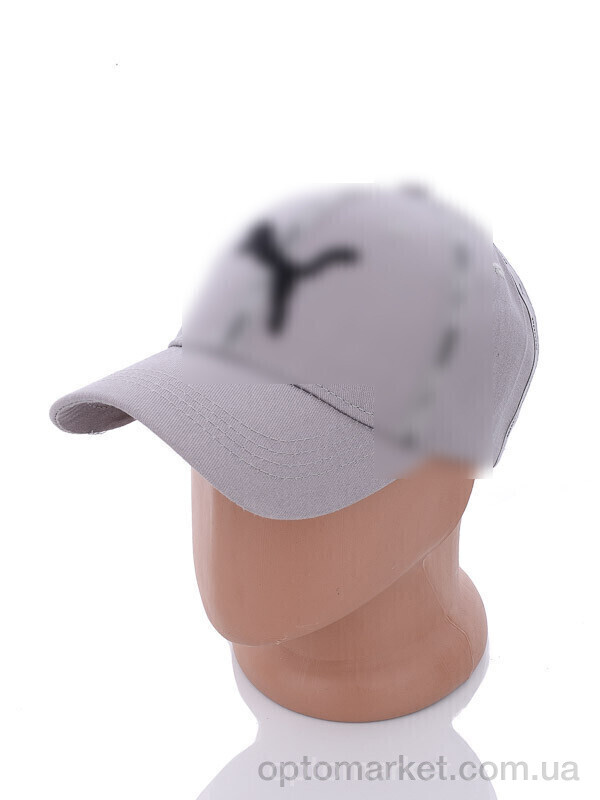 Купить Кепка чоловічі PM018-4 grey P.ma сірий, фото 1