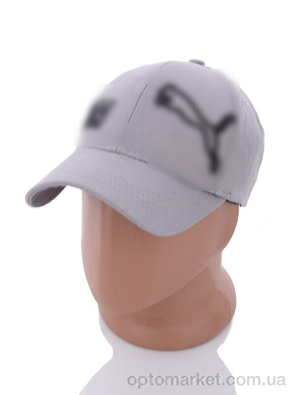 Купить Кепка чоловічі PM019-1 grey P.ma сірий, фото 1