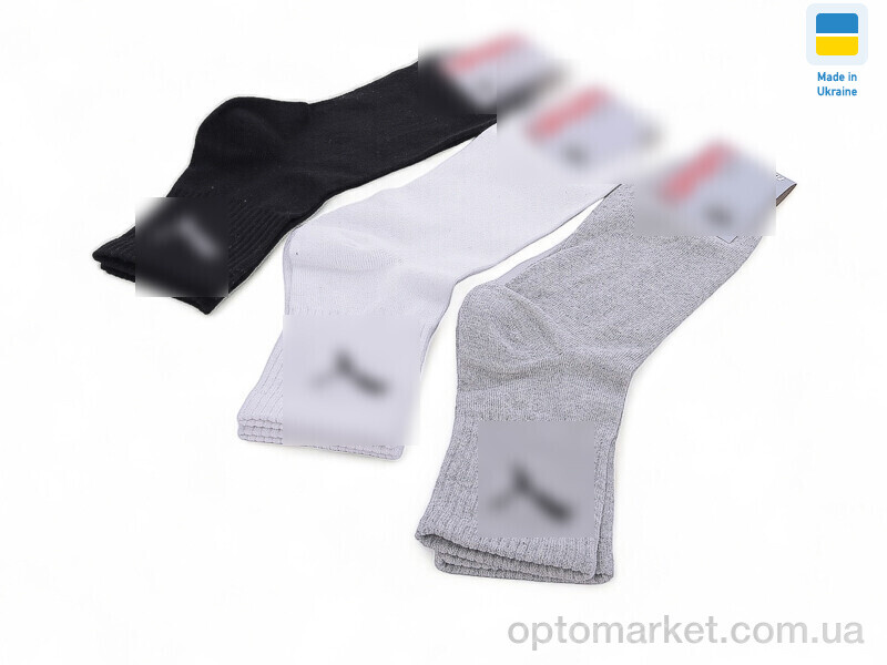 Купить Шкарпетки чоловічі T16 mix Luxe мікс, фото 1